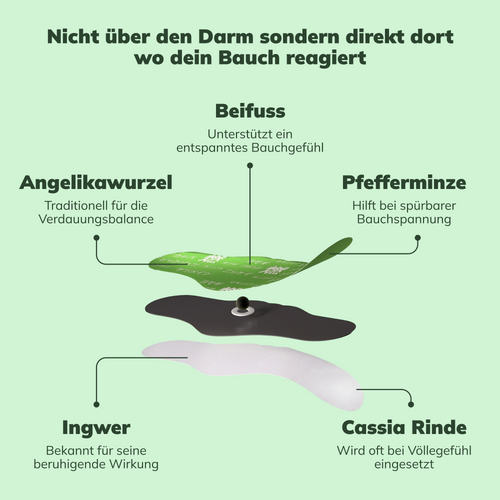 Ayleno Kräuterpatch